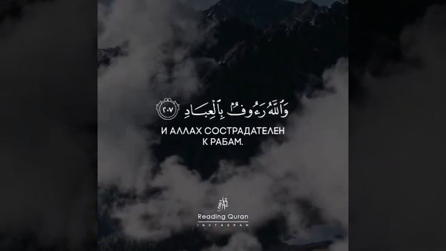 Коран Сура 2 «Корова», аяты 206-208. Чтец: Ибрахим Асири смотреть онлайн