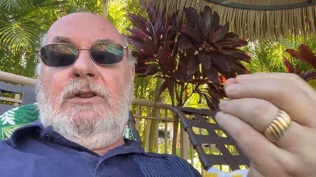 Go Upstream for Quality Improvement смотреть онлайн