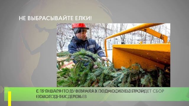 Не выбрасывайте елки! смотреть онлайн