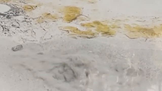Какая вода полезнее: сырая, кипячёная или минеральная? смотреть онлайн