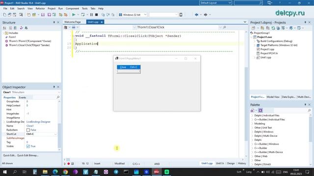 TrayIcon C++. Embarcadero.