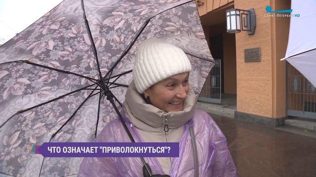 «Природа не храм, а мастерская...». Помнят ли петербуржцы творчество Тургенева?