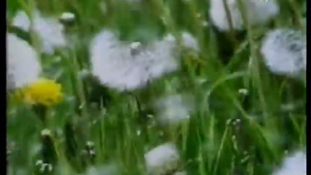 Чудо семени - 3/7 смотреть онлайн