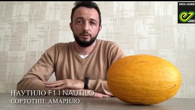 Ответы на вопросы по дыне Наутило от компании Энза Заден. смотреть онлайн