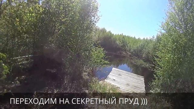 РЫБАЛКА. Ловля карася на поплавочную удочку 7 МАЯ !!! НА СЕКРЕТНОМ ПРУДУ ))) смотреть онлайн