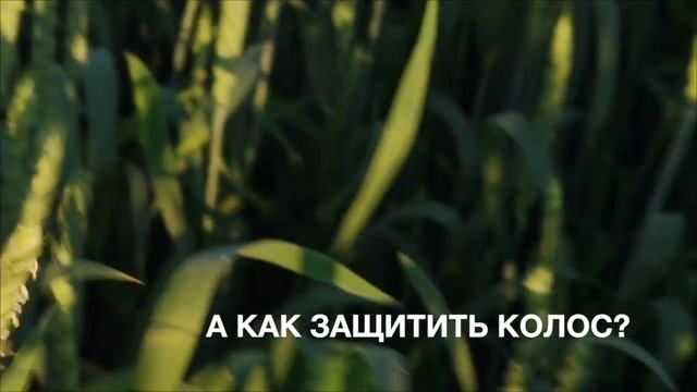 Демонстрация выбора пестицидов по вредителю и болезни растений смотреть онлайн