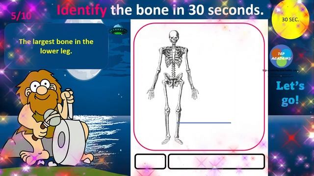 The whiz kids game | Skeletal system смотреть онлайн
