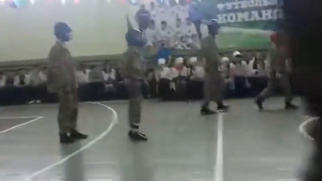 Тигр Илария выступления