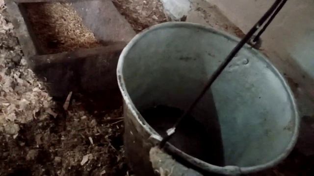 Запускаю бактерии в подстилку у голошеек. Обзор уже работающих подстилок. смотреть онлайн