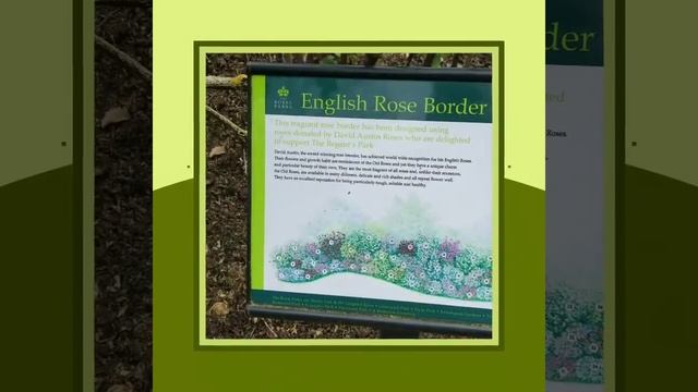 The Regent's Park (London) смотреть онлайн
