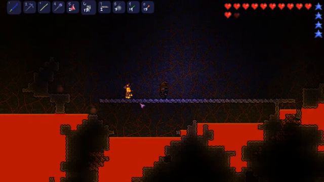 LP Terraria #7