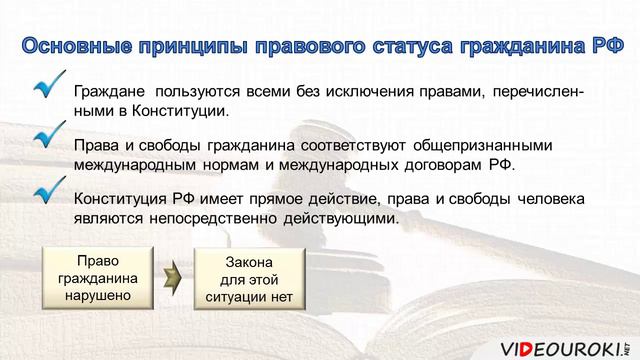 20. Правовой статус гражданина РФ смотреть онлайн