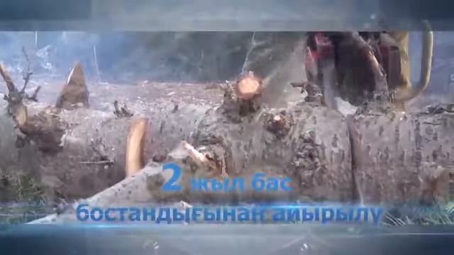 охрана природы смотреть онлайн