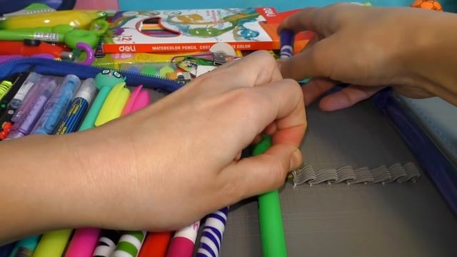 Собираем и заполняем пенал в школу. Моя коллекция канцелярии 2019 смотреть онлайн