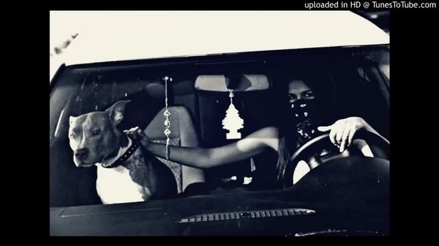 Не будите спящих, Не буди