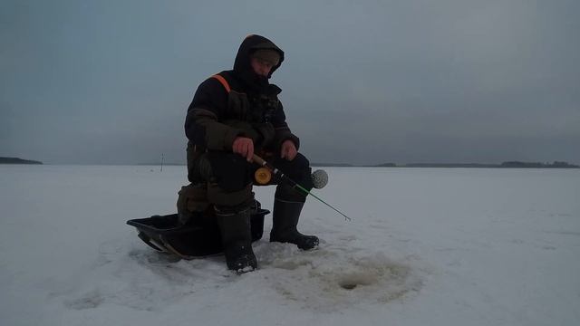 Первый выход на фарватер . ЛОВЛЯ  берша на жерлицы на Волге  . ЯНВАРЬ 2022