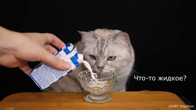 АСМР Котэ Дегустатор ??? ASMR Cat Reviewing Different Food ??? смотреть онлайн