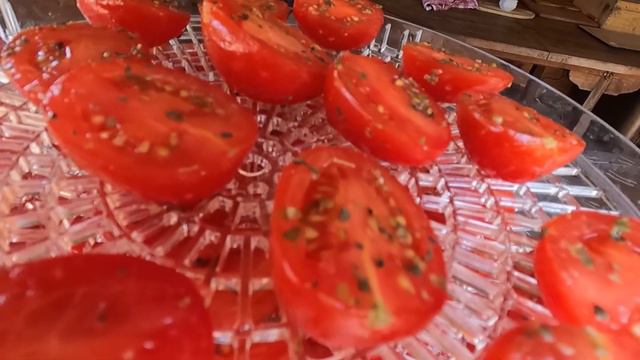 Getrocknete Tomaten selber machen: Anleitung zum Tomaten trocken im Dörrautomat! смотреть онлайн