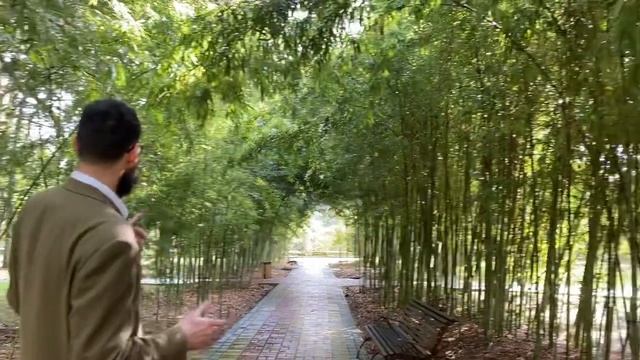 Черпаем идеи для реализации в нашем Экопарке в Экотории смотреть онлайн