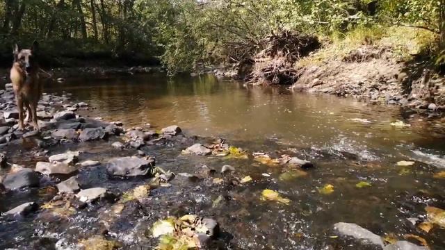 Барановская призналась, что изменяла с Аршавиным к Алисе Казьминой смотреть онлайн