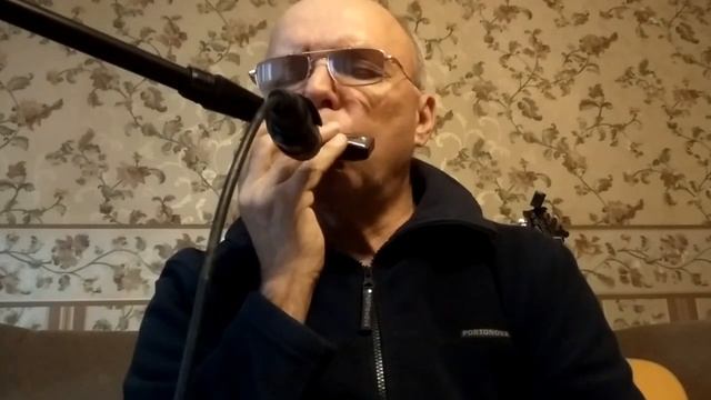 "Пара гнедых" на гармошке в натуральном миноре. смотреть онлайн