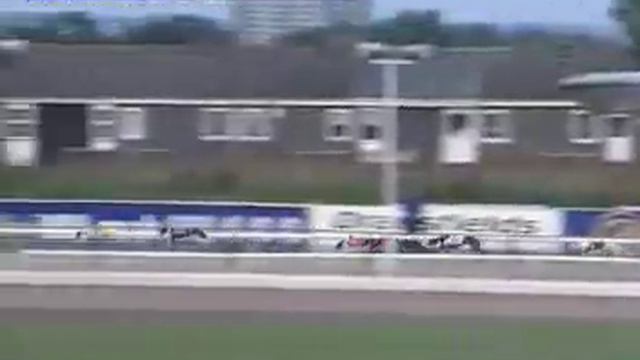 The racing days of Jasper the greyhound смотреть онлайн