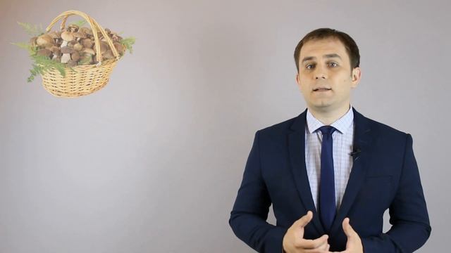 Правила сбора грибов, ягод и березового сока в 2021 г. смотреть онлайн