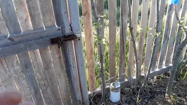 ПОРЧУ СНЯТЬ самим когда нашли у себя "сюрприз" дома или на даче. Что делать?/ 28.05.18 г смотреть онлайн