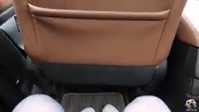 2019 Subaru Ascent: Andie the Lab Review! смотреть онлайн