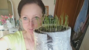 Видео привет из города 22 марта 2024