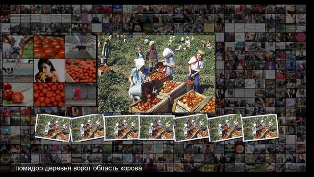 И все идет прахом,вся жизнь кувырком