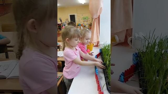 Уход за посевами овса смотреть онлайн