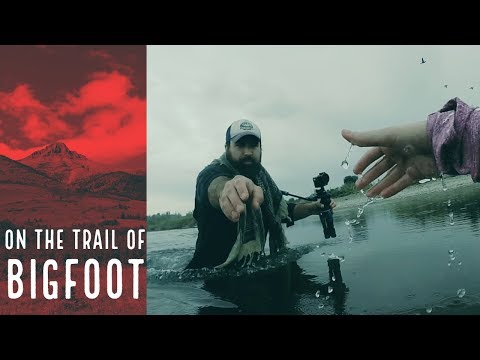BIGFOOT IN OUR NATIONAL PARKS