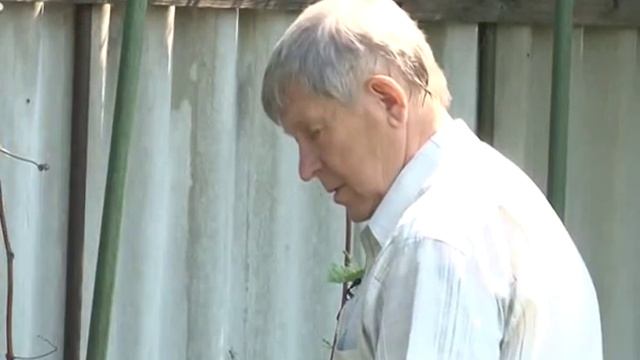 Фен-шуй на даче 15-06-2012 смотреть онлайн