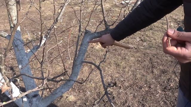 Игры на ПК и Консолях