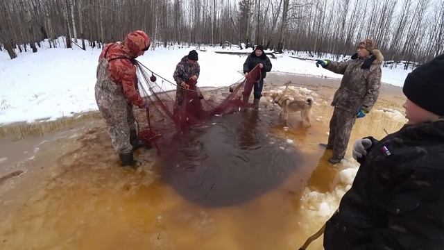 Едем проневодить, проверить сети. смотреть онлайн