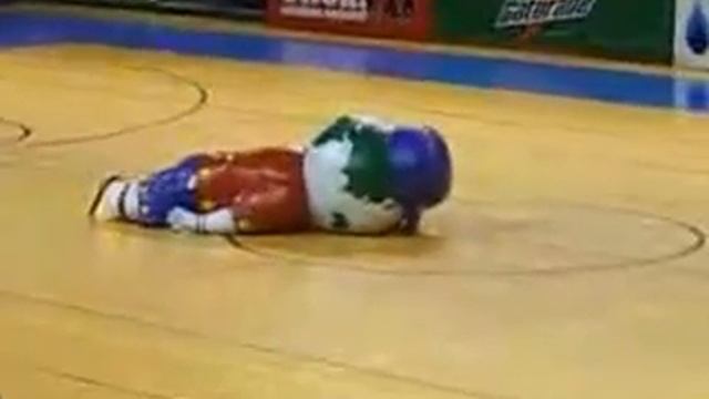 Талисман команды