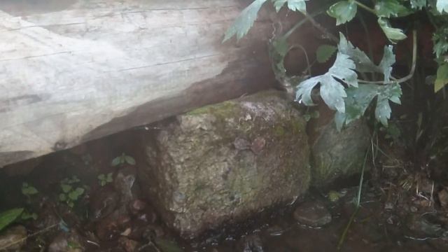 Крещенский родник в Арамашево смотреть онлайн