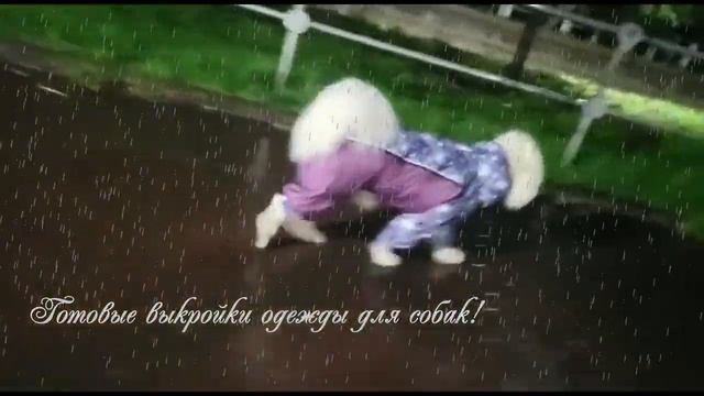 выкройка для самоеда смотреть онлайн