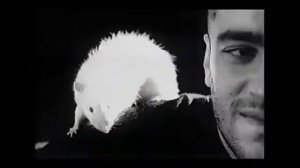 Я Остаюсь! Анатолий Крупнов...👍🙏🙏🙏 РЕСПЕКТ музыкантам и уважение!!! 💐💐💐💞