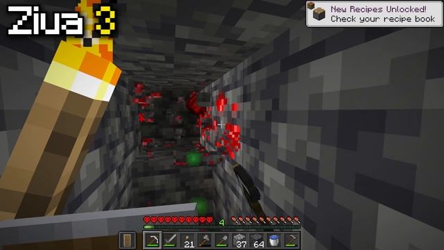 10 Zile In Minecraft Hardcore, Dar In Fiecare Zi Borderul Se Mareste!