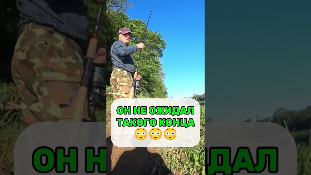 ОН БЫЛ ОЧЕНЬ УДИВЛЕН... #рыбалка #рек #fishing #рекомендации #шортс #приколы #тикток # смотреть онлайн