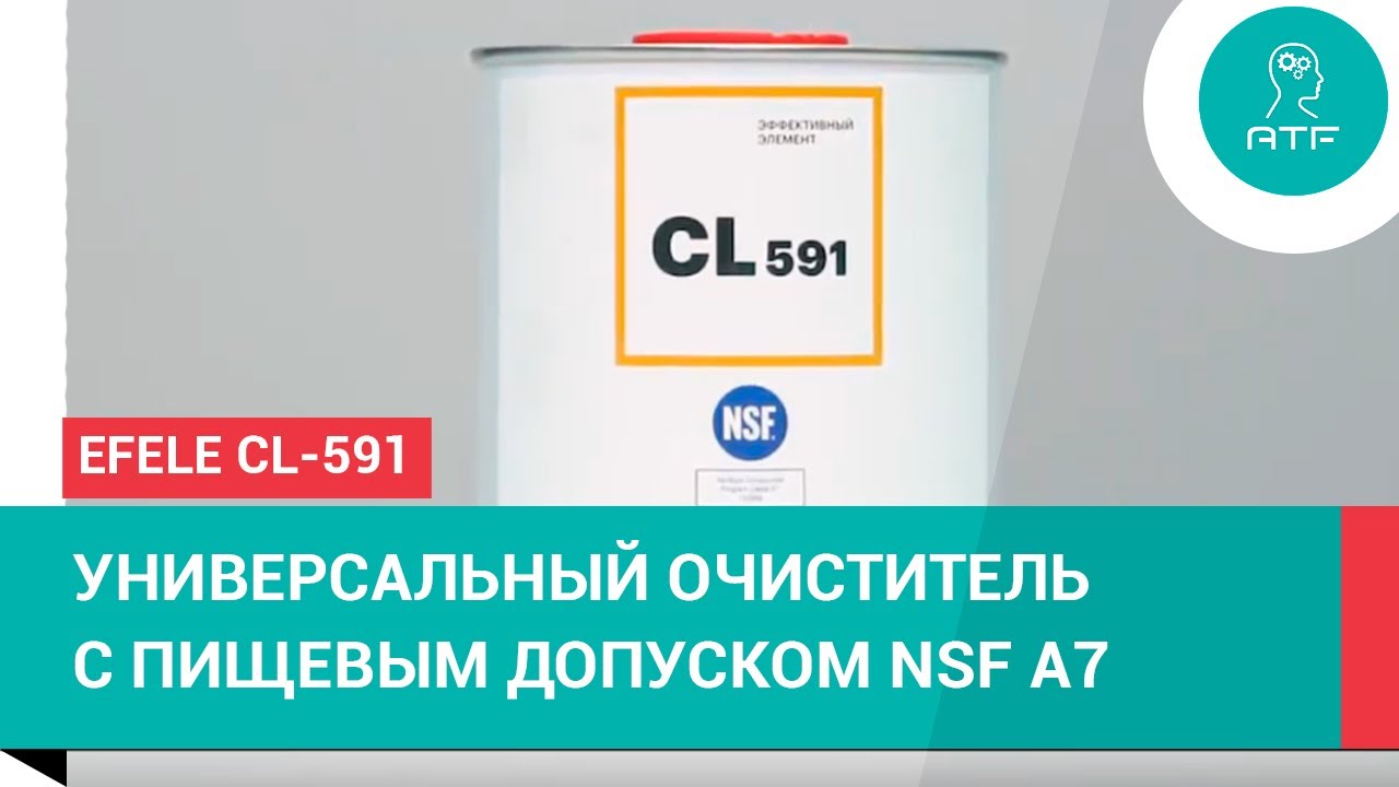 Универсальный очиститель EFELE CL-591 для пищевых производств