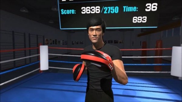 The fastest fist: Virtual reality boxing training 'Virtual reality Workout'