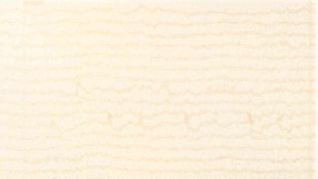 CARTA de Dostoiewsky a su Hermano Mikhail del 22 de Diciembre de 1849 смотреть онлайн