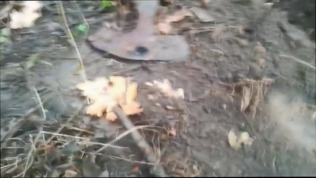 Гусарский клад 1 .mp4