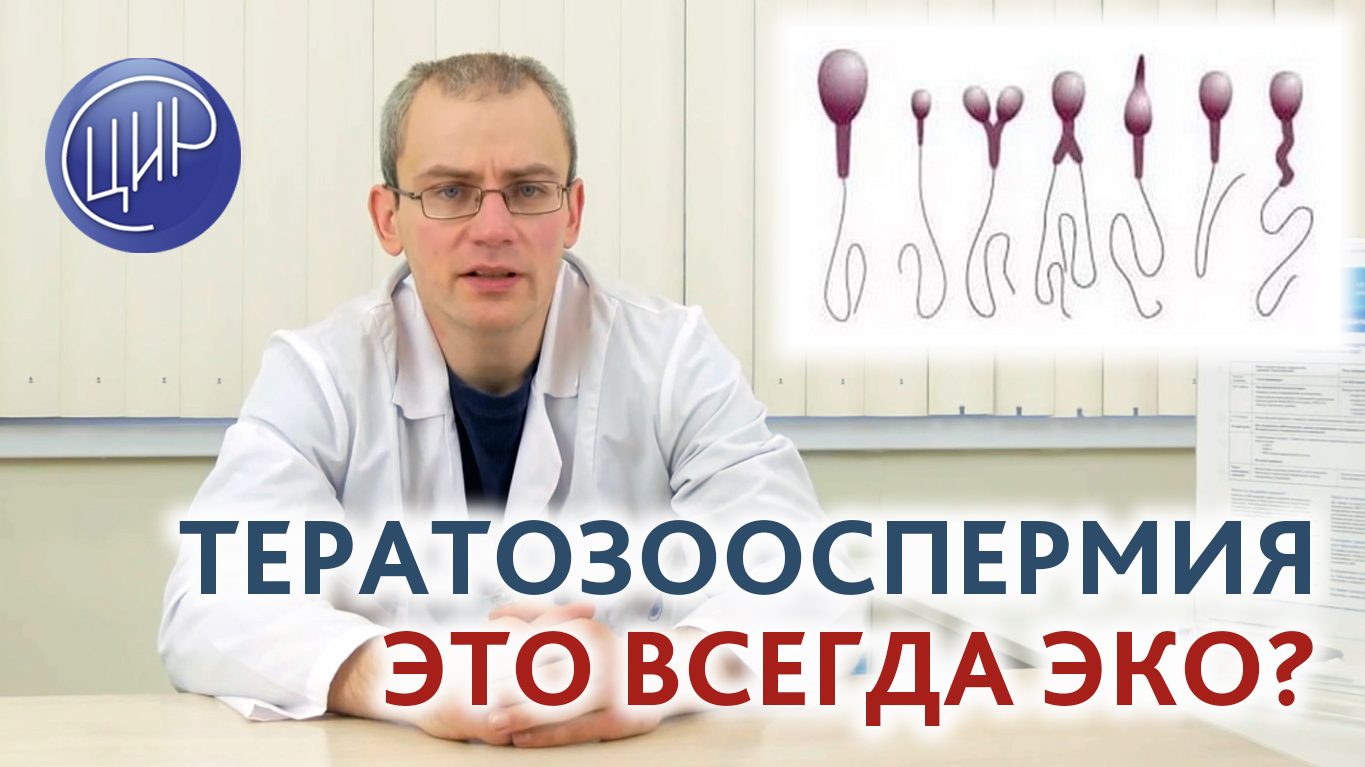 Тератозооспермия - это всегда ЭКО? Отвечает врач уролог-андролог ЦИР Живулько А.Р. смотреть онлайн