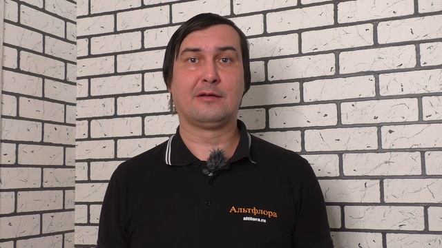 Инсектициды с имидаклоприд: Биотлин, Танрек, Искра Золотая, Командор, Имидор, Корадо, Табу, Рубеж.. смотреть онлайн