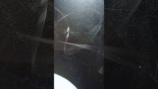 //ЛЁГКОЕ ПЛЕТЕНИЕ//КОЛЬЦО ? смотреть онлайн