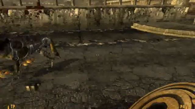 Fallout New Vegas - Vola Rex Vola! смотреть онлайн